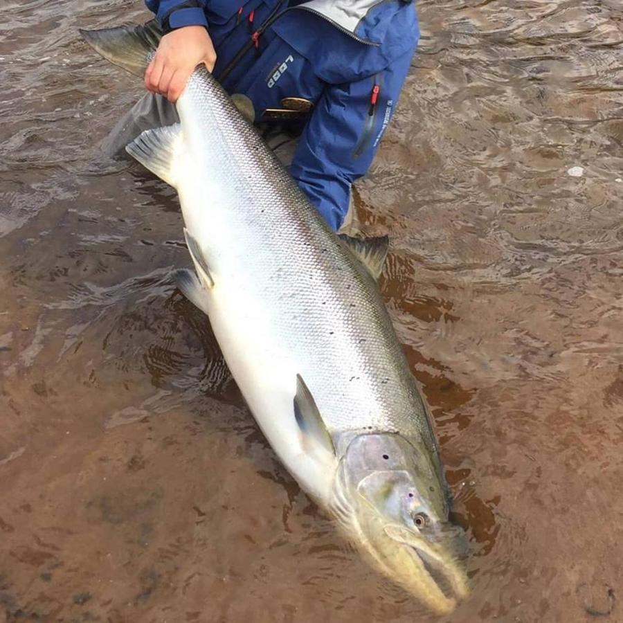 Jockfall Fishing And Activities - Oeverkalix 외부 사진